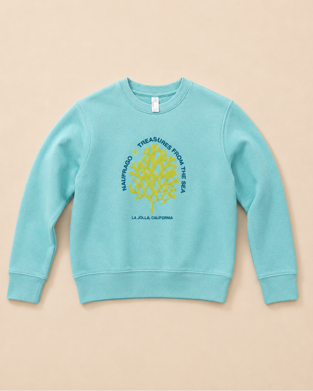 Treasures Crewneck Sweatshirt (Kids) - Seafoam